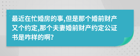 最近在忙婚房的事,但是那个婚前财产又个约定,那个夫妻婚前财产约定公证书是咋样的啊？