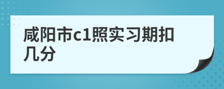 咸阳市c1照实习期扣几分