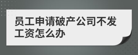 员工申请破产公司不发工资怎么办