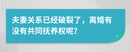 夫妻关系已经破裂了，离婚有没有共同抚养权呢？