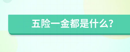 五险一金都是什么？