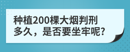 种植200棵大烟判刑多久，是否要坐牢呢?