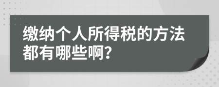 缴纳个人所得税的方法都有哪些啊？