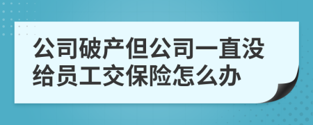 公司破产但公司一直没给员工交保险怎么办