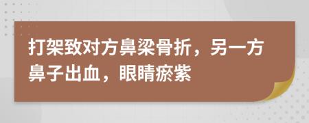 打架致对方鼻梁骨折，另一方鼻子出血，眼睛瘀紫