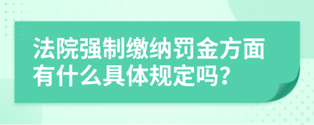 法院强制缴纳罚金方面有什么具体规定吗？