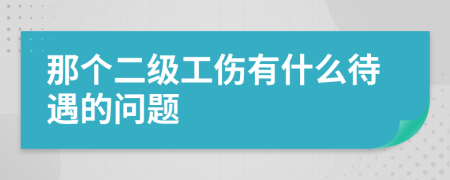 那个二级工伤有什么待遇的问题