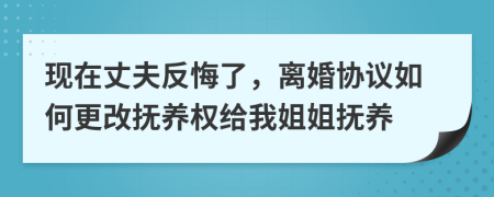 现在丈夫反悔了，离婚协议如何更改抚养权给我姐姐抚养