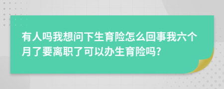 有人吗我想问下生育险怎么回事我六个月了要离职了可以办生育险吗?