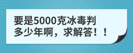 要是5000克冰毒判多少年啊，求解答！！