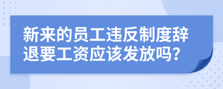 新来的员工违反制度辞退要工资应该发放吗？