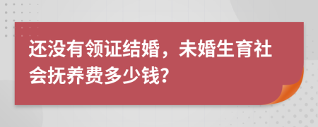 还没有领证结婚，未婚生育社会抚养费多少钱？