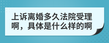 上诉离婚多久法院受理啊，具体是什么样的啊