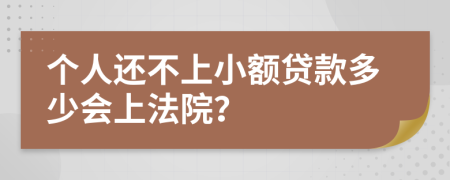 个人还不上小额贷款多少会上法院？