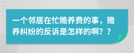 一个邻居在忙赡养费的事，赡养纠纷的反诉是怎样的啊？？