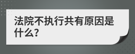 法院不执行共有原因是什么？