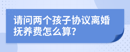 请问两个孩子协议离婚抚养费怎么算？