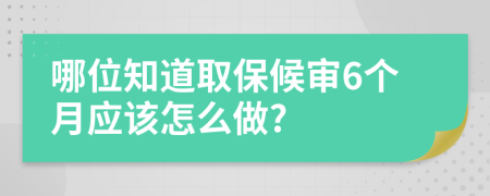 哪位知道取保候审6个月应该怎么做?