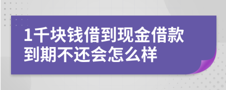 1千块钱借到现金借款到期不还会怎么样