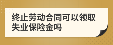 终止劳动合同可以领取失业保险金吗