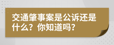 交通肇事案是公诉还是什么？你知道吗？