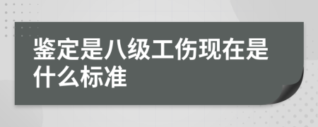 鉴定是八级工伤现在是什么标准