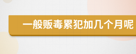 一般贩毒累犯加几个月呢
