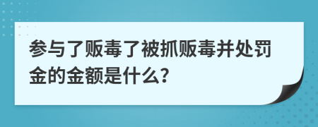 参与了贩毒了被抓贩毒并处罚金的金额是什么？