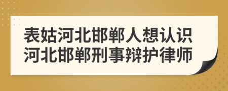 表姑河北邯郸人想认识河北邯郸刑事辩护律师