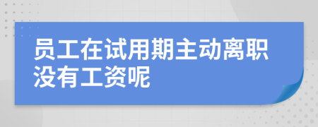 员工在试用期主动离职没有工资呢