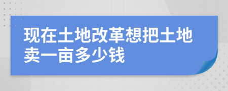 现在土地改革想把土地卖一亩多少钱