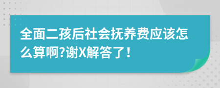 全面二孩后社会抚养费应该怎么算啊?谢X解答了！