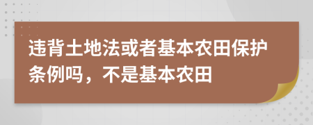 违背土地法或者基本农田保护条例吗，不是基本农田