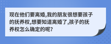 现在他们要离婚,我的朋友很想要孩子的抚养权,想要知道离婚了,孩子的抚养权怎么确定的呢？