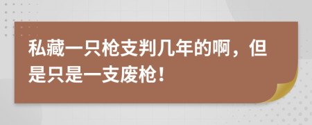私藏一只枪支判几年的啊，但是只是一支废枪！