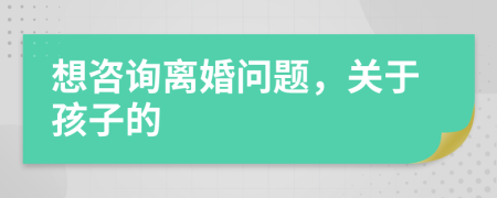 想咨询离婚问题，关于孩子的