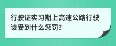 行驶证实习期上高速公路行驶该受到什么惩罚？