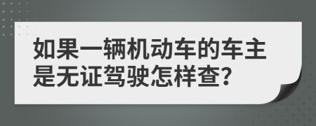 如果一辆机动车的车主是无证驾驶怎样查？