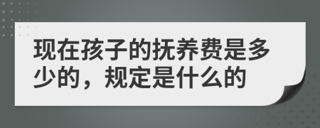 现在孩子的抚养费是多少的，规定是什么的