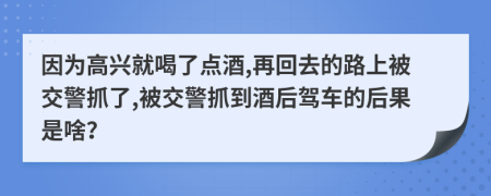 因为高兴就喝了点酒,再回去的路上被交警抓了,被交警抓到酒后驾车的后果是啥？