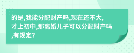 的是,我能分配财产吗,现在还不大,才上初中,那离婚儿子可以分配财产吗,有规定？