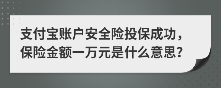 支付宝账户安全险投保成功，保险金额一万元是什么意思？