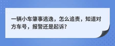 一辆小车肇事逃逸，怎么追责，知道对方车号，报警还是起诉?