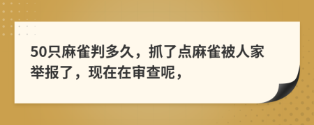 50只麻雀判多久，抓了点麻雀被人家举报了，现在在审查呢，