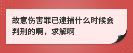 故意伤害罪已逮捕什么时候会判刑的啊，求解啊