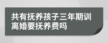 共有抚养孩子三年期训离婚要抚养费吗