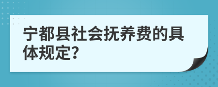 宁都县社会抚养费的具体规定？