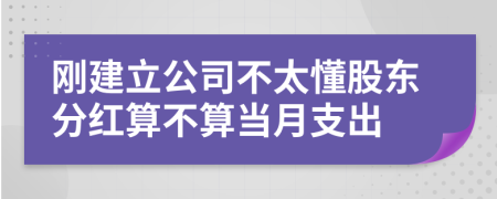 刚建立公司不太懂股东分红算不算当月支出