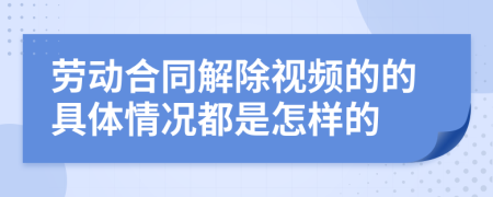 劳动合同解除视频的的具体情况都是怎样的