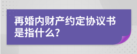 再婚内财产约定协议书是指什么？